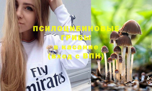 прущие крисы Болохово