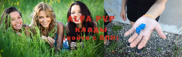 гидра Покров