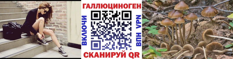 где можно купить наркотик  Барнаул  Галлюциногенные грибы мицелий 