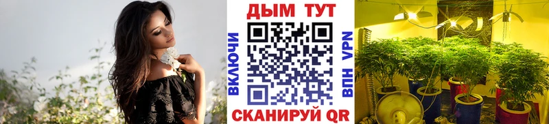 Бошки марихуана семена  Барнаул 